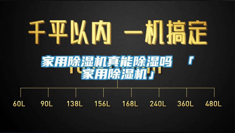 家用榴莲视频官网APP真能除濕嗎 「家用榴莲视频官网APP」