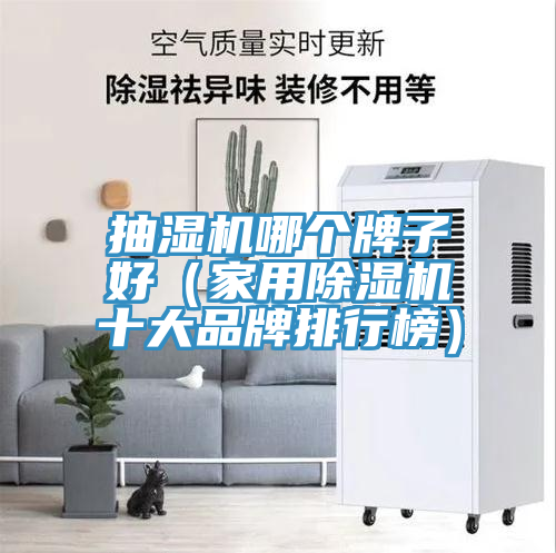 抽濕機哪個牌子好（家用榴莲视频官网APP十大品牌排行榜）