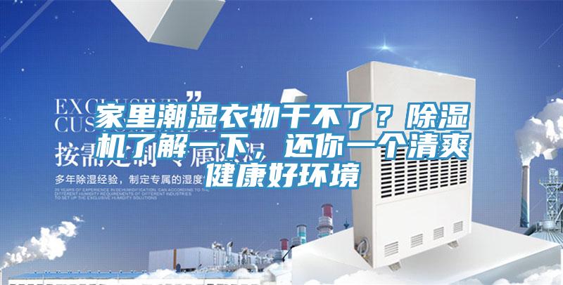 家裏潮濕衣物幹不了？榴莲视频官网APP了解一下，還你一個清爽健康好環境