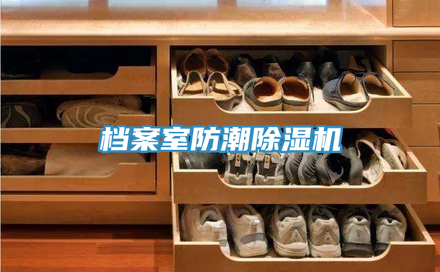 檔案室防潮榴莲视频官网APP