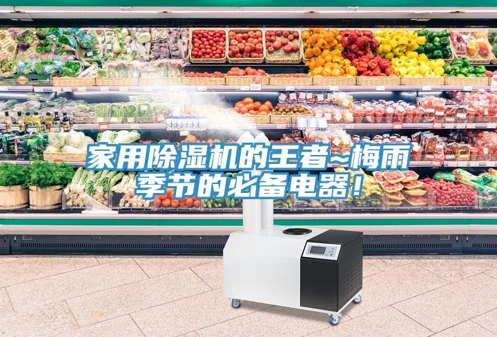 家用榴莲视频官网APP的王者~梅雨季節的必備電器！