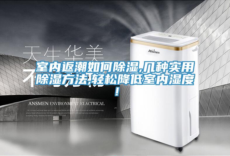 室內返潮如何除濕,幾種實用除濕方法,輕鬆降低室內濕度！