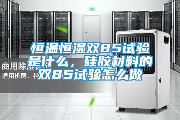 恒溫恒濕雙85試驗是什麽，矽膠材料的雙85試驗怎麽做