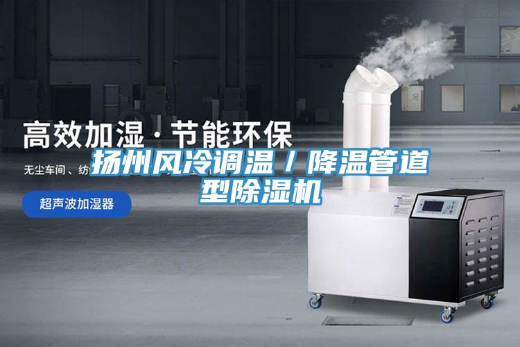 揚州風冷調溫／降溫管道型榴莲视频官网APP