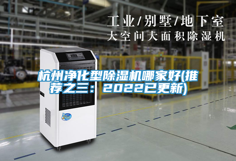 杭州淨化型榴莲视频官网APP哪家好(推薦之三：2022已更新)