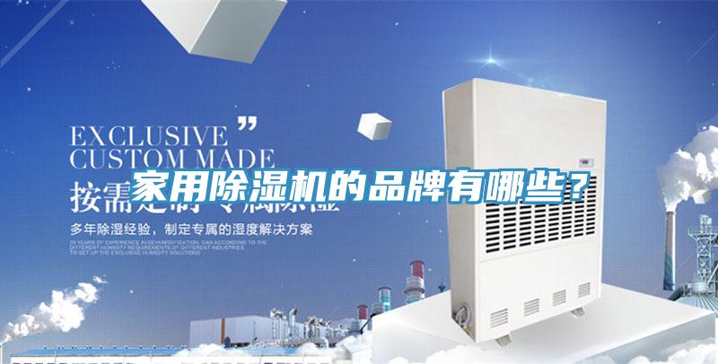 家用榴莲视频官网APP的品牌有哪些？