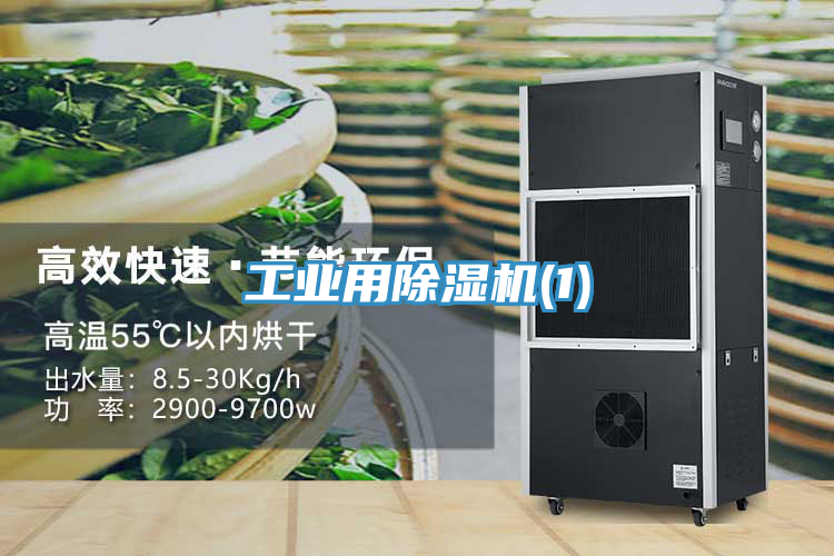 工業用榴莲视频官网APP(1)