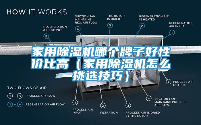 家用榴莲视频官网APP哪個牌子好性價比高（家用榴莲视频官网APP怎麽挑選技巧）