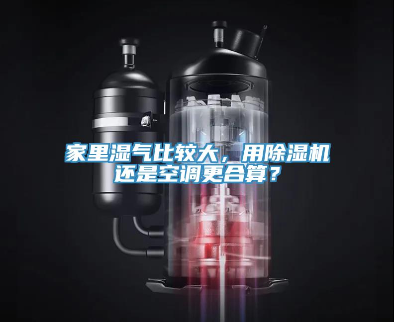 家裏濕氣比較大，用榴莲视频官网APP還是空調更合算？