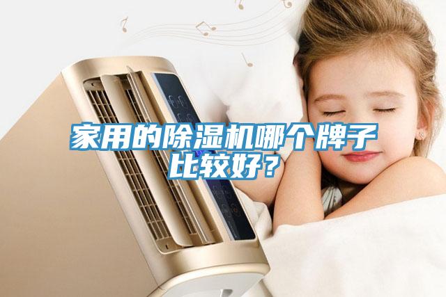 家用的榴莲视频官网APP哪個牌子比較好？