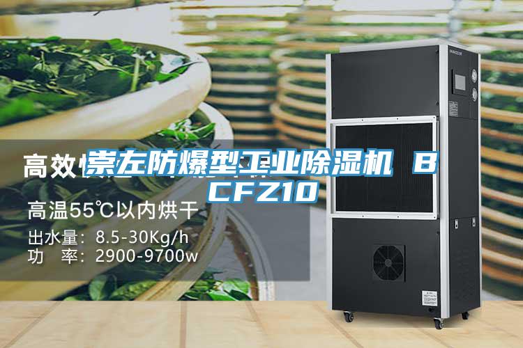 崇左防爆型工業榴莲视频官网APP BCFZ10