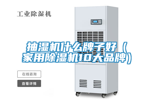 抽濕機什麽牌子好（家用榴莲视频官网APP10大品牌）