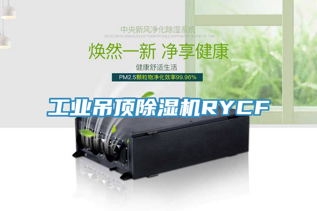 工業吊頂榴莲视频官网APPRYCF