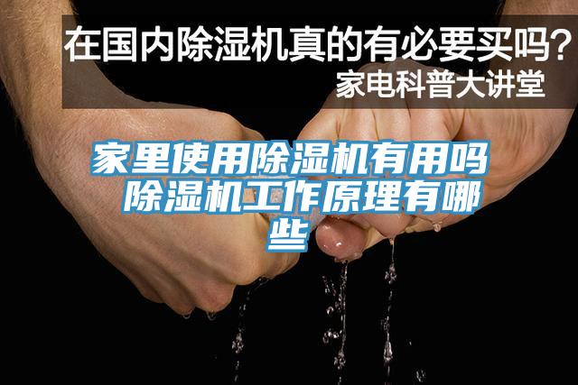 家裏使用榴莲视频官网APP有用嗎 榴莲视频官网APP工作原理有哪些