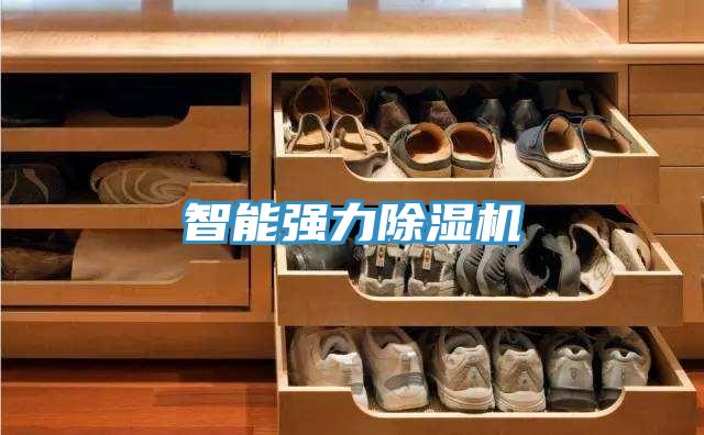 智能強力榴莲视频官网APP