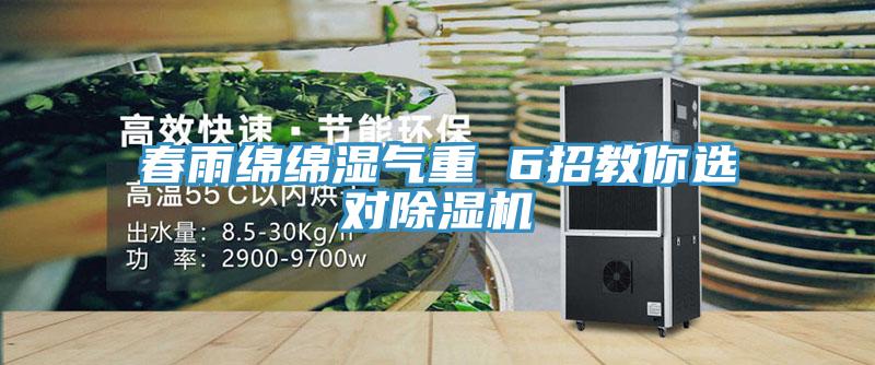 春雨綿綿濕氣重 6招教你選對榴莲视频官网APP