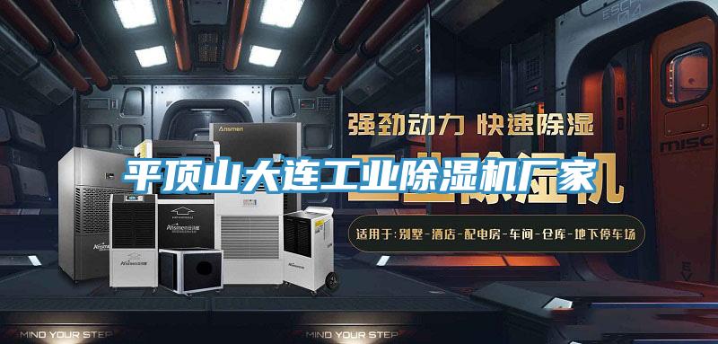 平頂山大連工業榴莲视频官网APP廠家