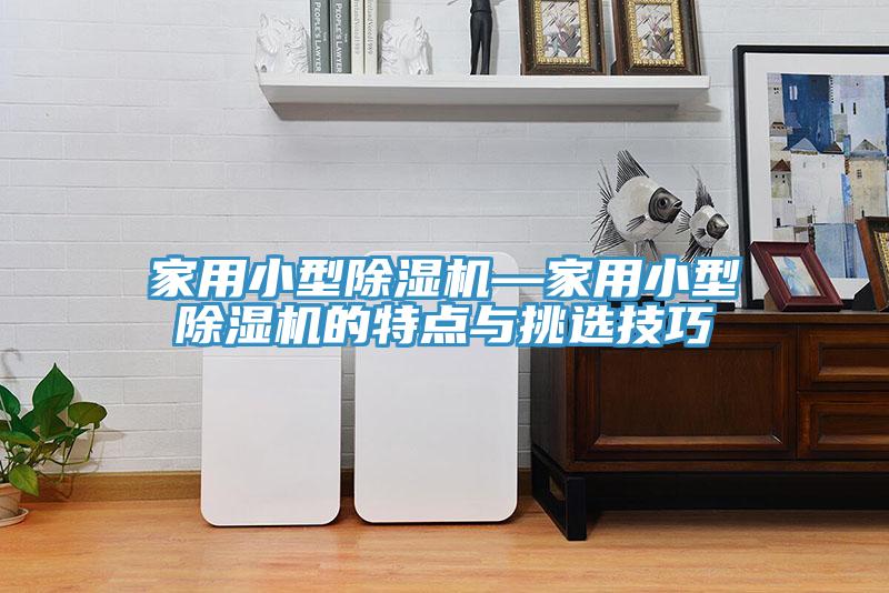 家用小型榴莲视频官网APP—家用小型榴莲视频官网APP的特點與挑選技巧