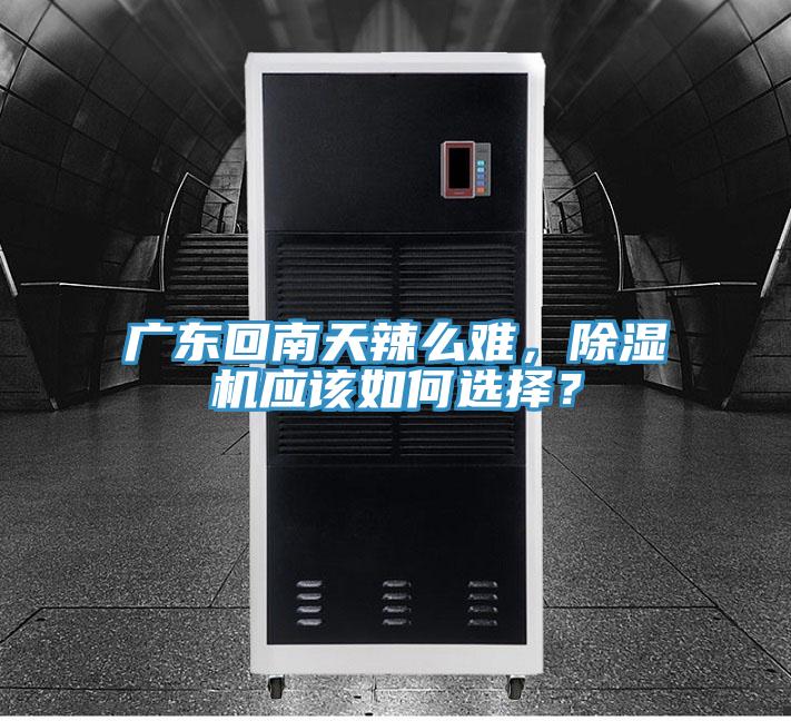 廣東回南天辣麽難，榴莲视频官网APP應該如何選擇？