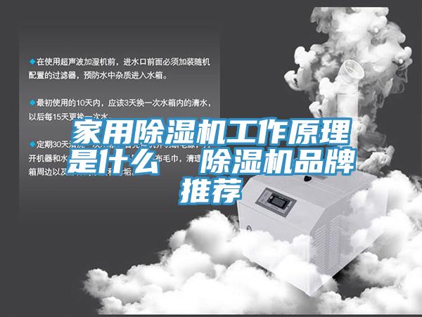 家用榴莲视频官网APP工作原理是什麽  榴莲视频官网APP品牌推薦