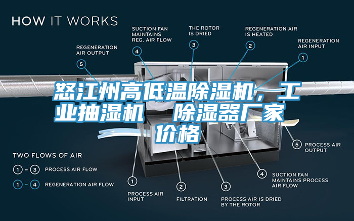 怒江州高低溫榴莲视频官网APP，工業抽濕機  除濕器廠家 價格