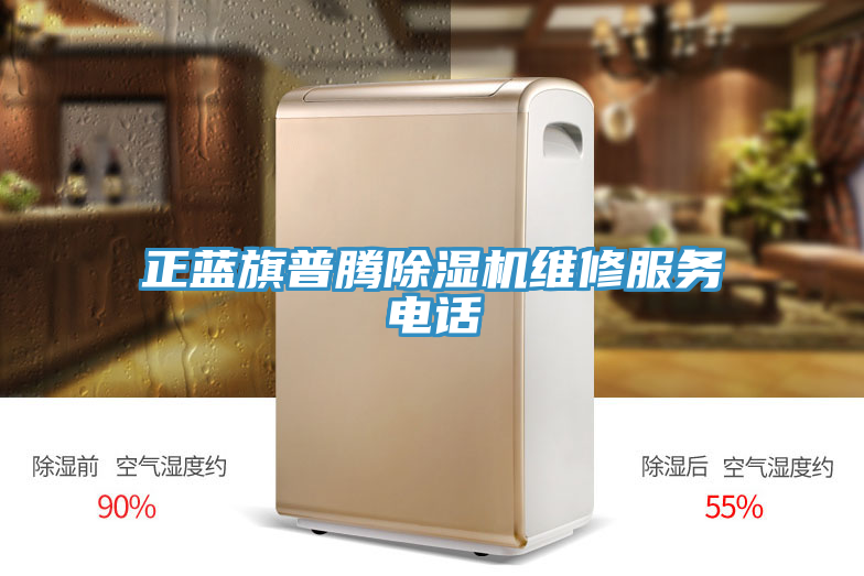 正藍旗普騰榴莲视频官网APP維修服務電話