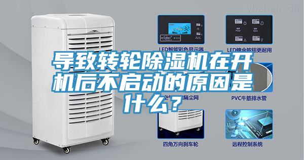導致轉輪榴莲视频官网APP在開機後不啟動的原因是什麽？