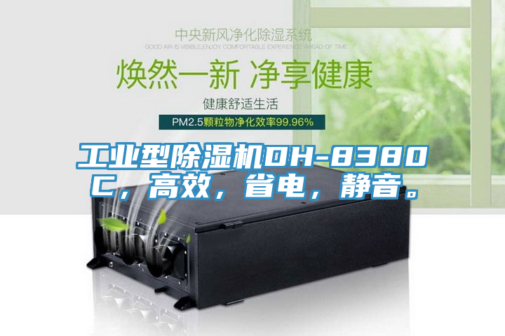 工業型榴莲视频官网APPDH-8380C，高效，省電，靜音。