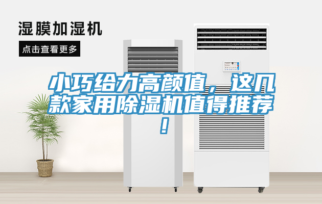 小巧給力高顏值，這幾款家用榴莲视频官网APP值得推薦！
