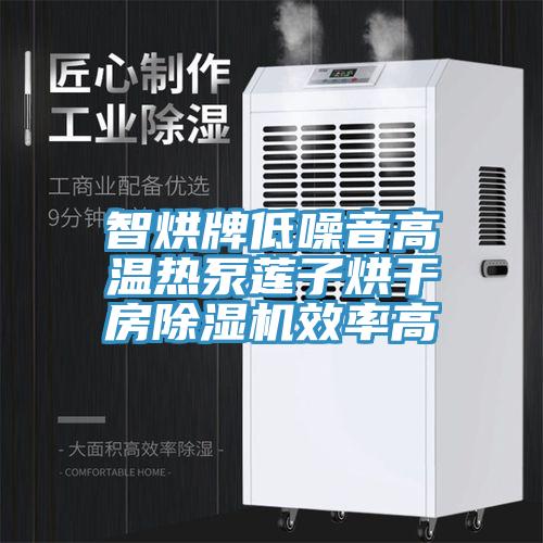智烘牌低噪音高溫熱泵蓮子烘幹房榴莲视频官网APP效率高