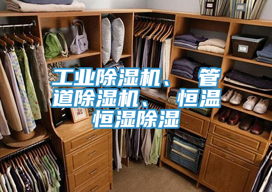 工業榴莲视频官网APP、 管道榴莲视频官网APP、 恒溫恒濕除濕