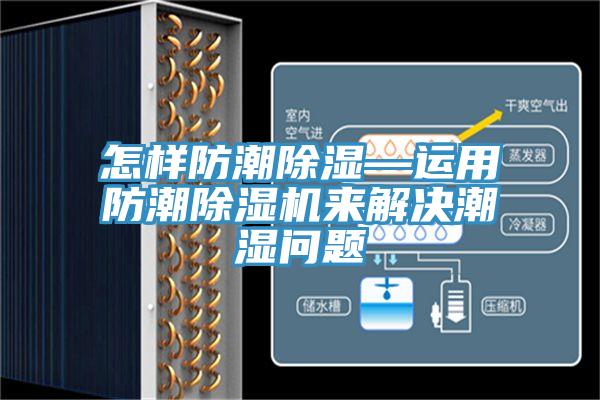 怎樣防潮除濕—運用防潮榴莲视频官网APP來解決潮濕問題