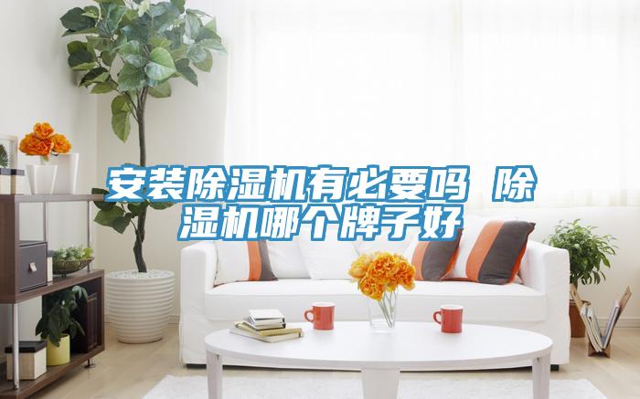 安裝榴莲视频官网APP有必要嗎 榴莲视频官网APP哪個牌子好