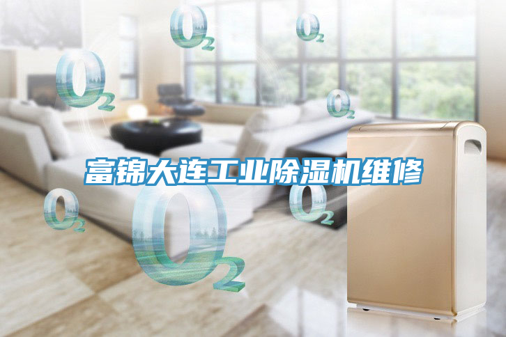 富錦大連工業榴莲视频官网APP維修