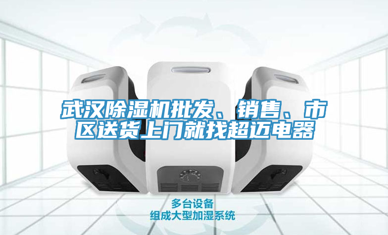 武漢榴莲视频官网APP批發、銷售、市區送貨上門就找超邁電器