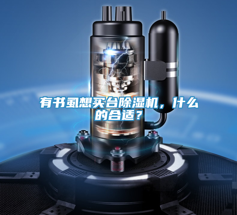 有書虱想買台榴莲视频官网APP，什麽的合適？
