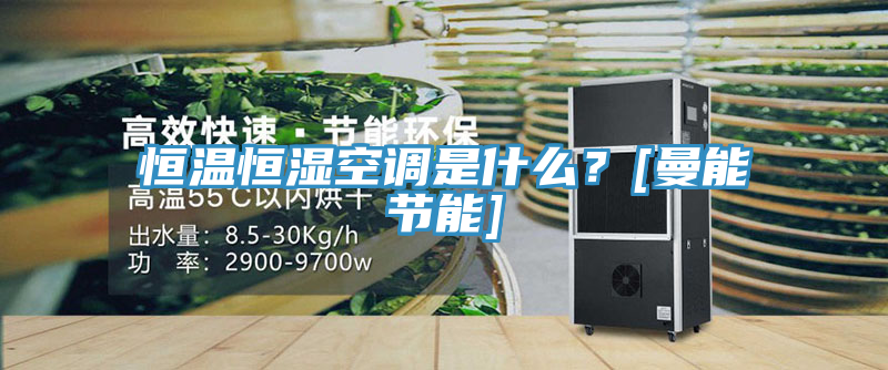 恒溫恒濕空調是什麽？[曼能節能]