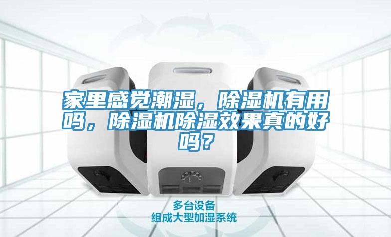 家裏感覺潮濕，榴莲视频官网APP有用嗎，榴莲视频官网APP除濕效果真的好嗎？