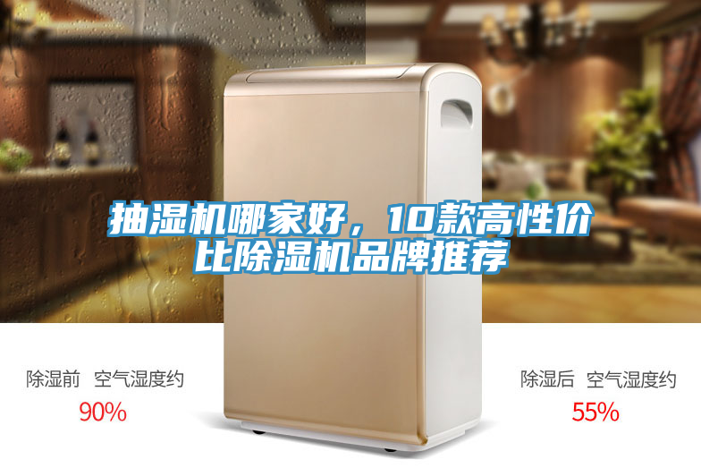 抽濕機哪家好，10款高性價比榴莲视频官网APP品牌推薦
