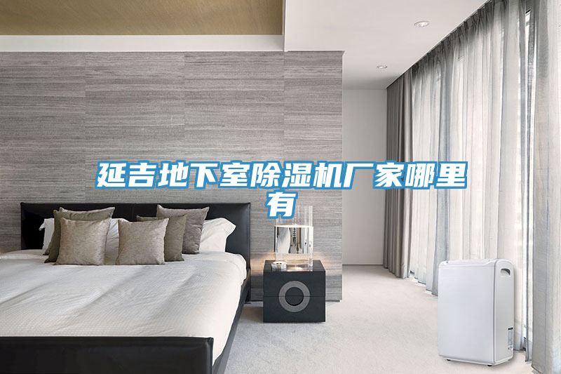 延吉地下室榴莲视频官网APP廠家哪裏有