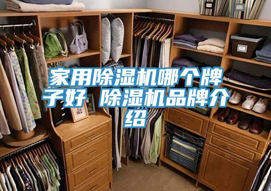 家用榴莲视频官网APP哪個牌子好 榴莲视频官网APP品牌介紹