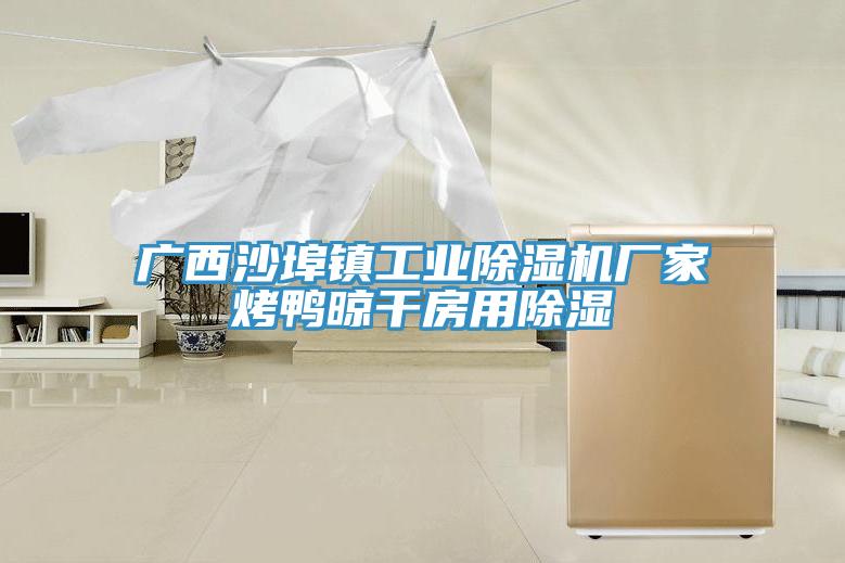 廣西沙埠鎮工業榴莲视频官网APP廠家烤鴨晾幹房用除濕
