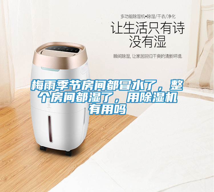 梅雨季節房間都冒水了，整個房間都濕了，用榴莲视频官网APP有用嗎