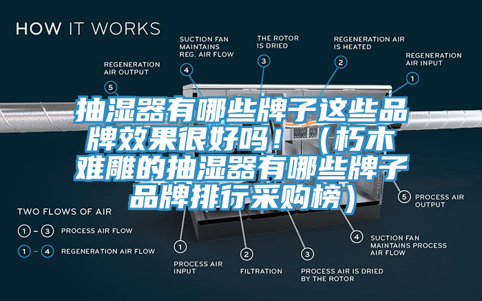 抽濕器有哪些牌子這些品牌效果很好嗎！（朽木難雕的抽濕器有哪些牌子品牌排行采購榜）