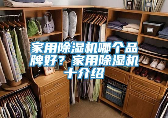 家用榴莲视频官网APP哪個品牌好？家用榴莲视频官网APP十介紹