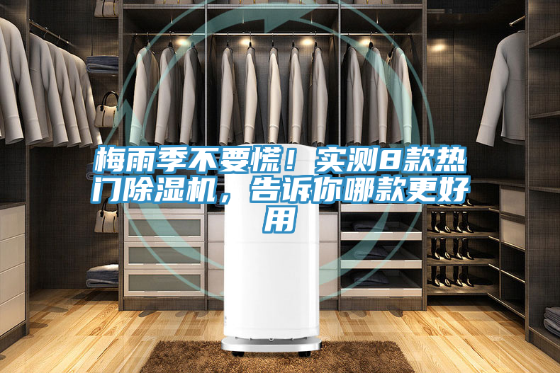 梅雨季不要慌！實測8款熱門榴莲视频官网APP，告訴你哪款更好用