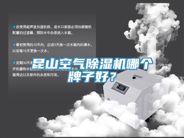 昆山空氣榴莲视频官网APP哪個牌子好？