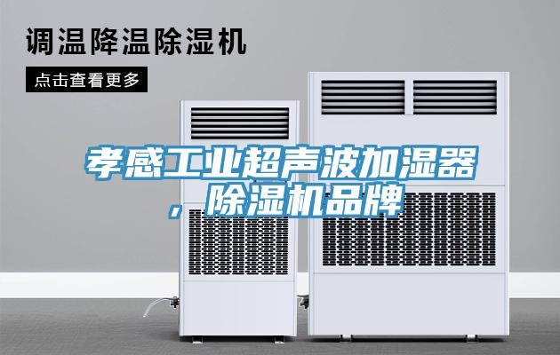 孝感工業超聲波加濕器，榴莲视频官网APP品牌