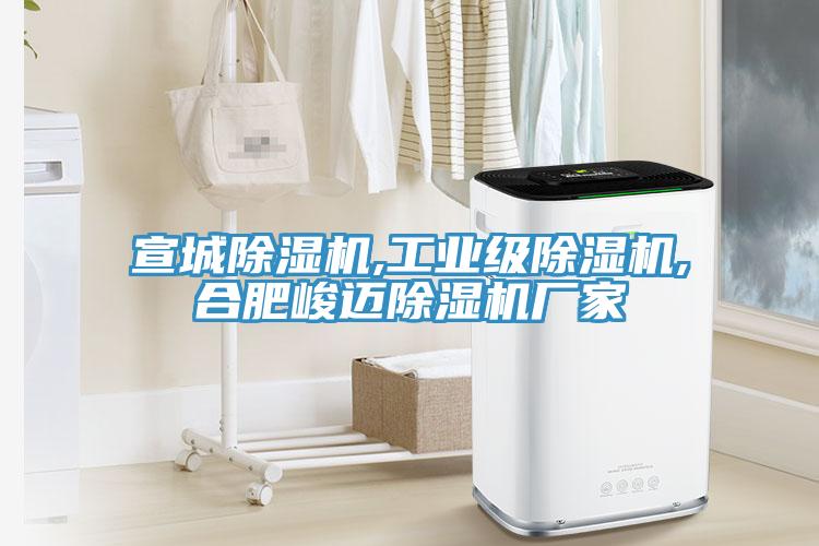 宣城榴莲视频官网APP,工業級榴莲视频官网APP,合肥峻邁榴莲视频官网APP廠家