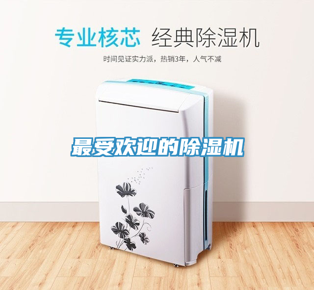 最受歡迎的榴莲视频官网APP